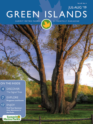 July-Aug '19 Green Islands cover