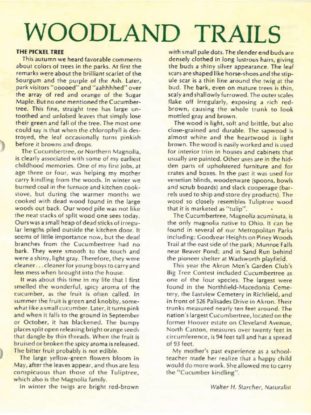 A 1982 article in Green Islands about the cucumber tree
