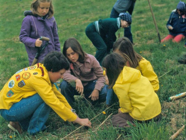 Girl Scouts plant trees at Hampton Hills Metro Park, 1976