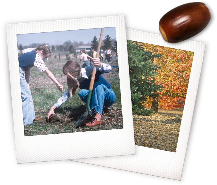 Two girls planting a tree and a fall scene in polaroids